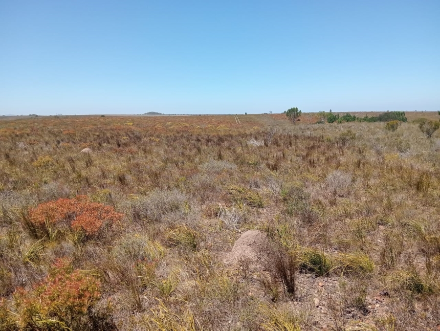 Commercial Property for Sale in Humansdorp Rural Eastern Cape